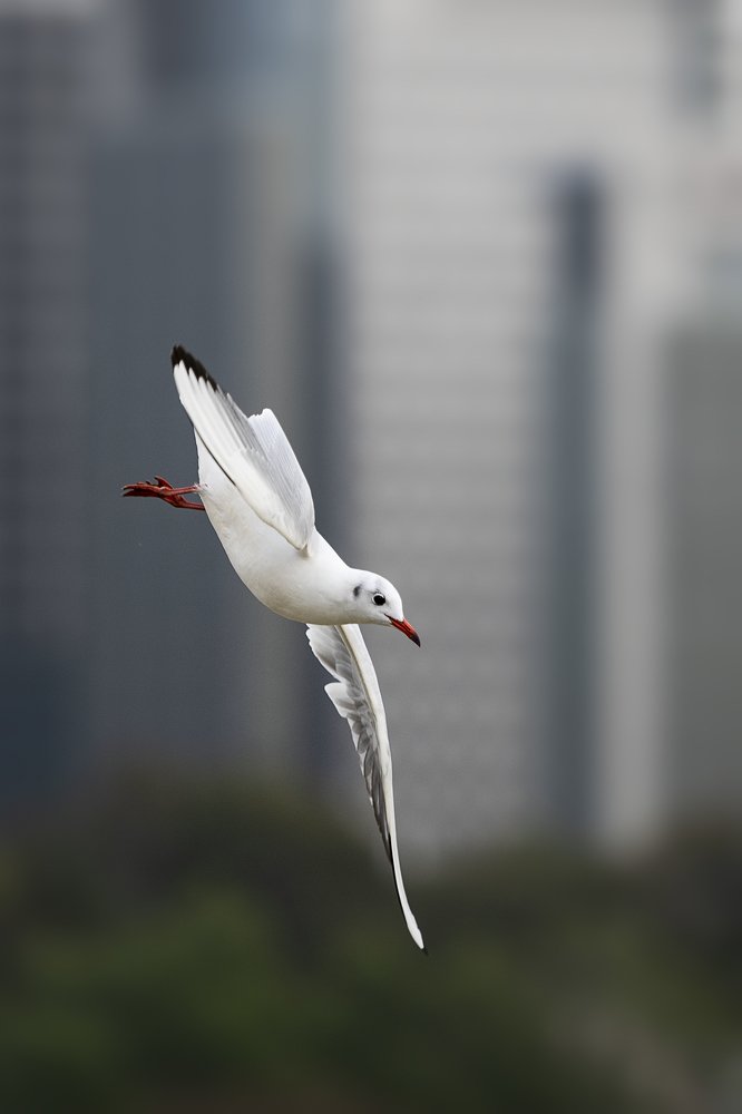 Photograph by Лея Лерер