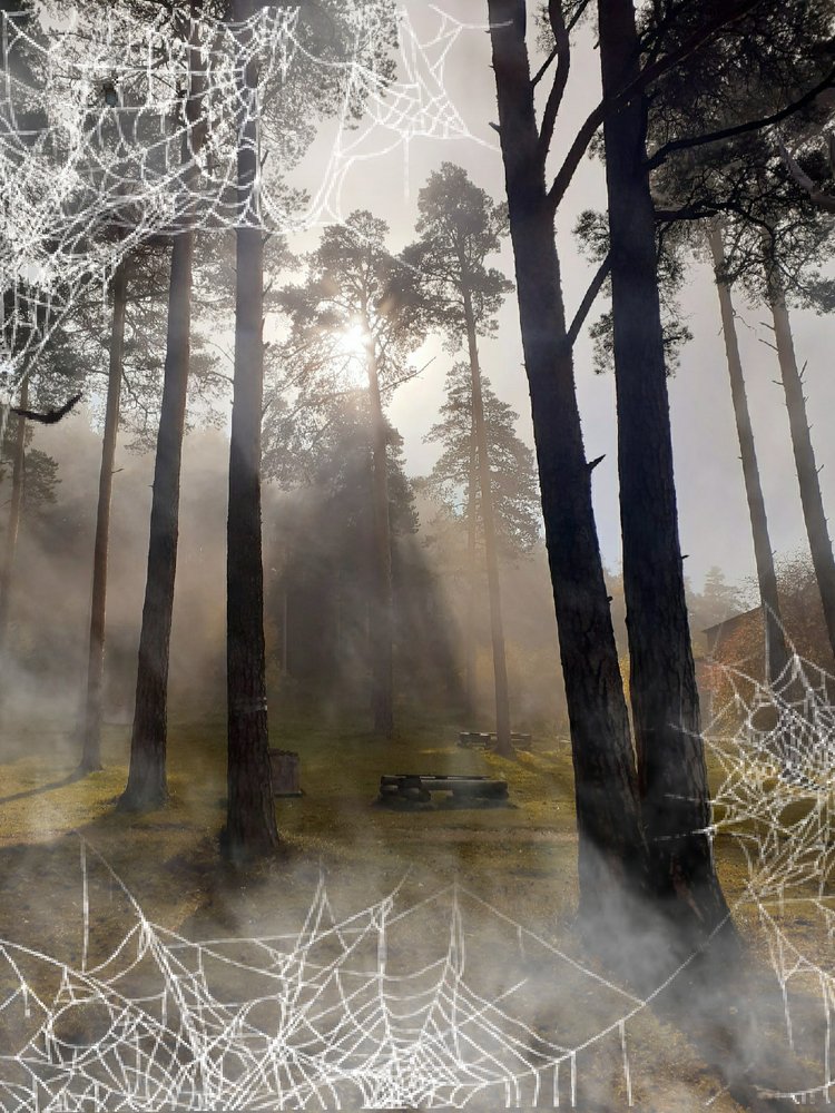 Лесная сказка