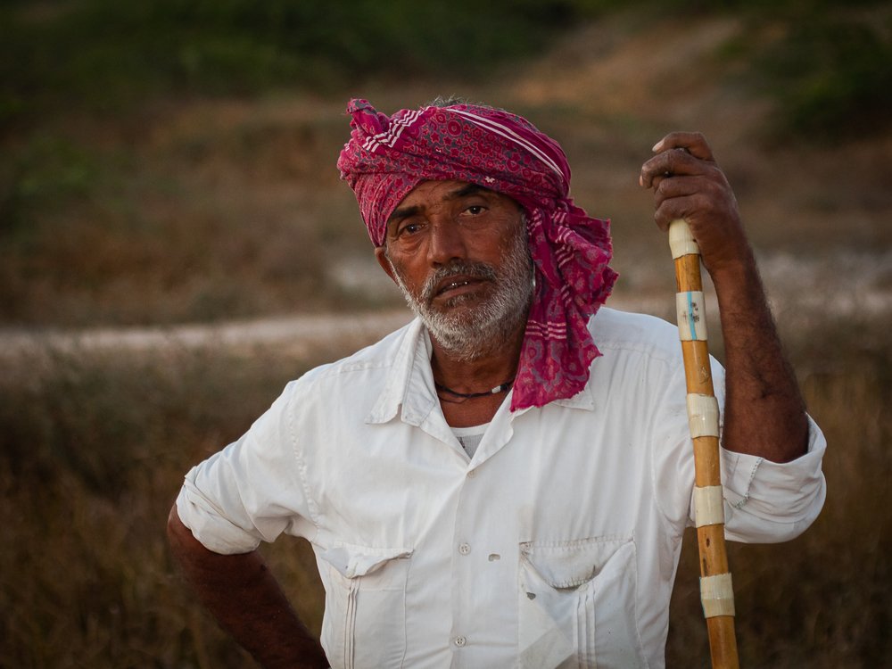 Photograph by Pramod Pramod