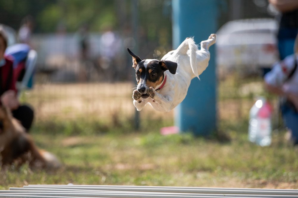 Photograph by Виола Поликарпова