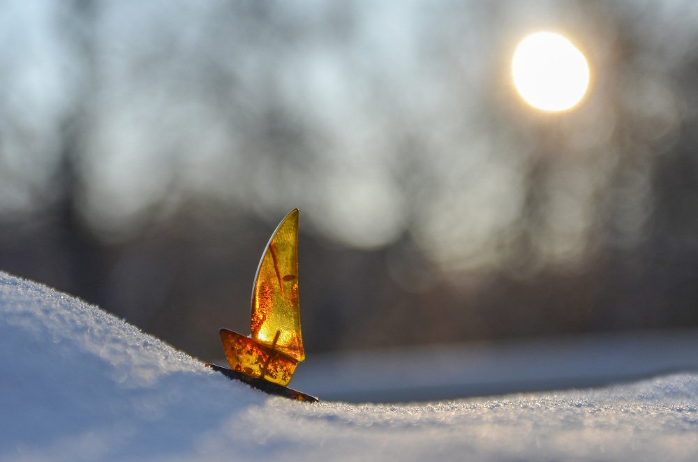 Photograph by Pavel SidorOFF