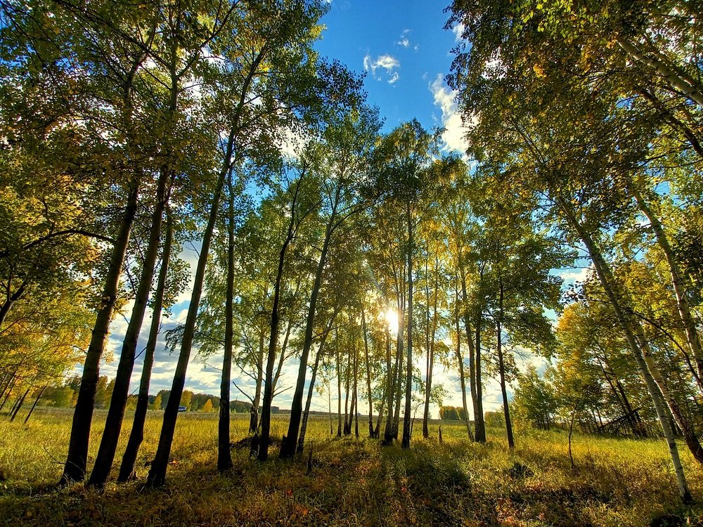 Photograph by Юлия Гудкова