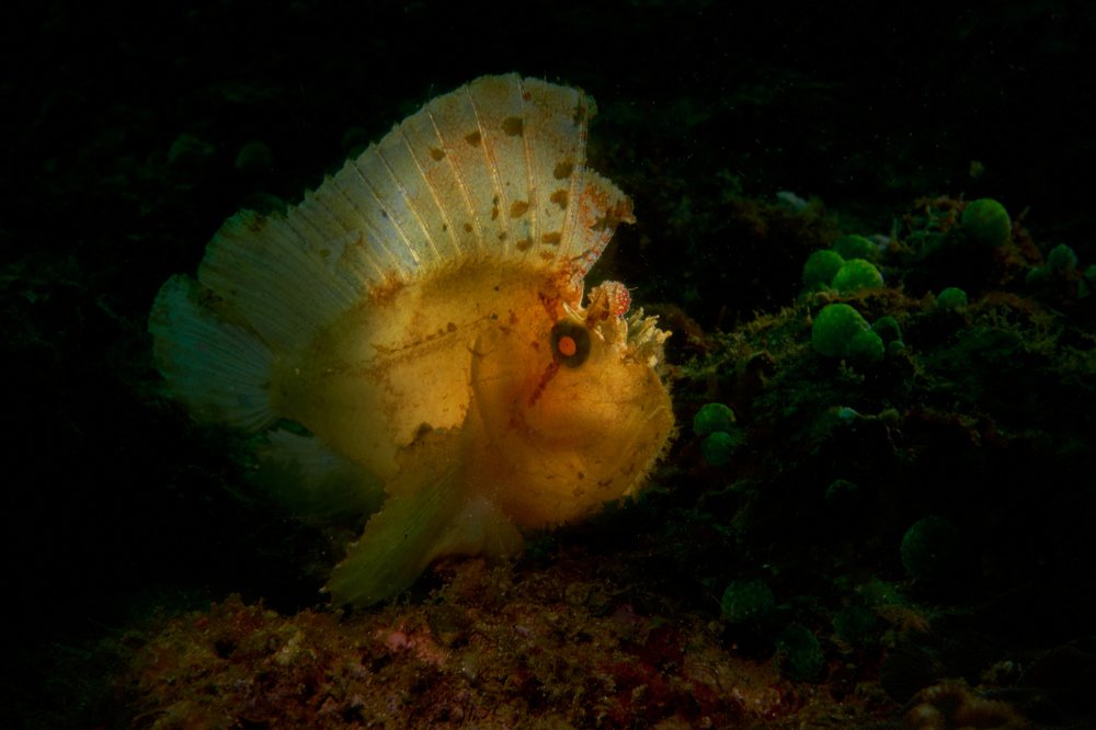 Photograph by Denis Timchenko