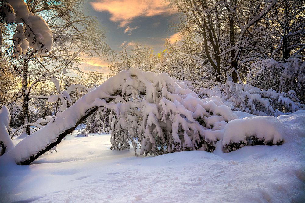 Photograph by Лариса Рулёва