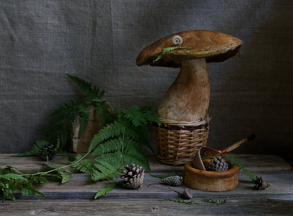 Белый гриб.