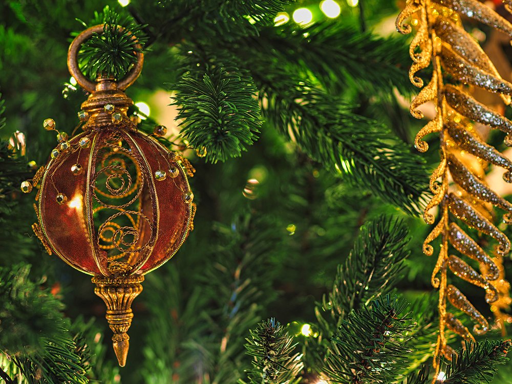 Photograph by Georgios Pallas