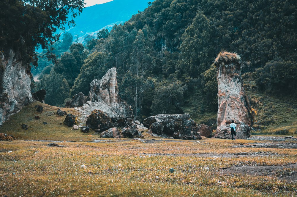 Фотография автора Eyob Bezaneh