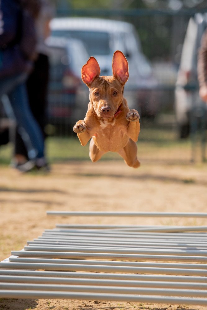 Photograph by Виола Поликарпова