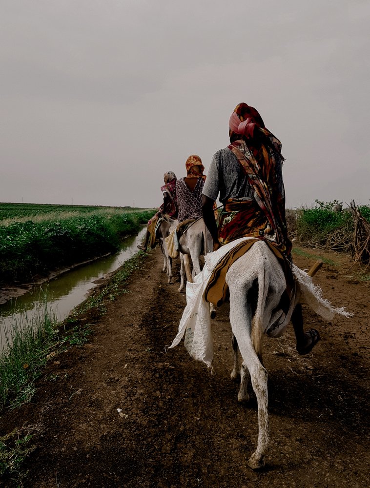 Photograph by Amar Abdallah Osman