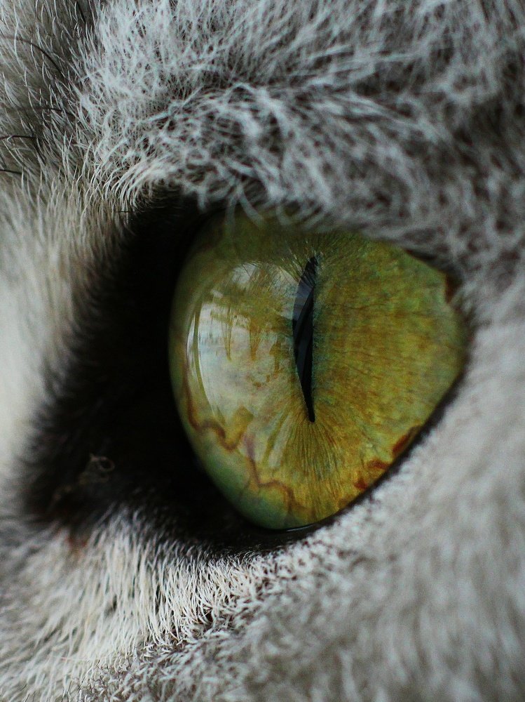 Photograph by Светлана Богомолова