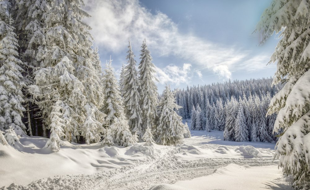 Фотография автора Leompescu Emanuel