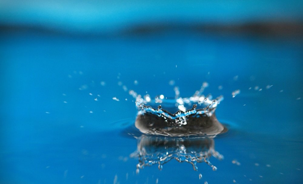 Photograph by Джамшед Камбаров