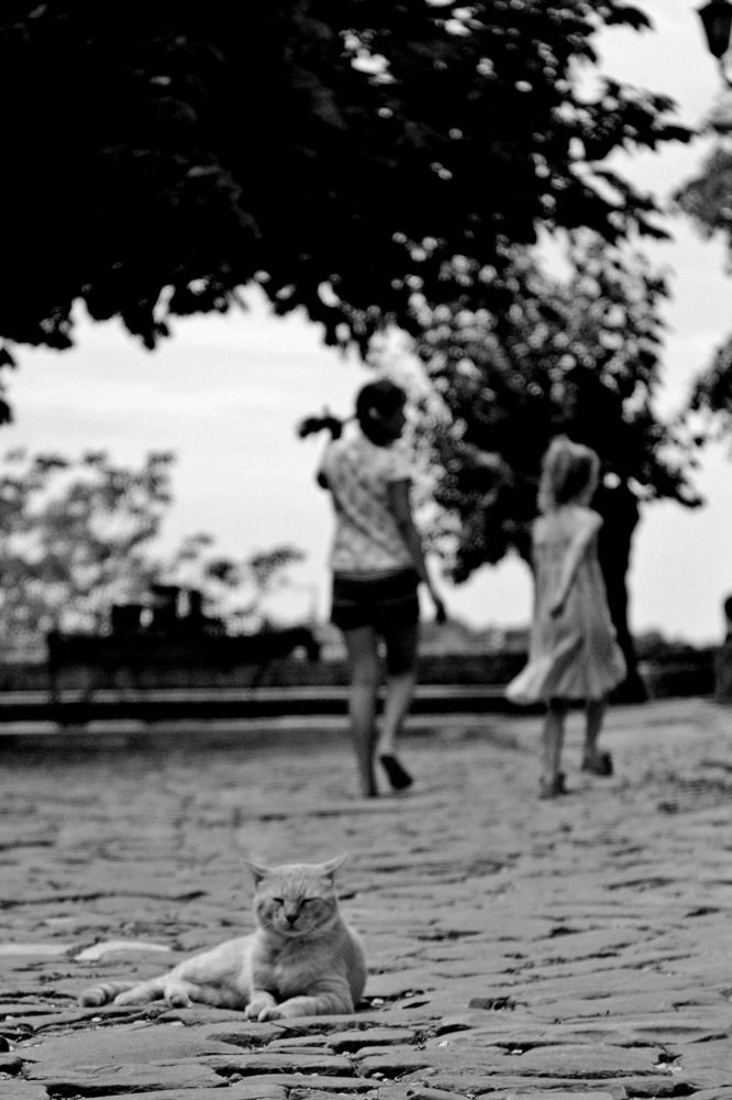 Photograph by Damir Gržin