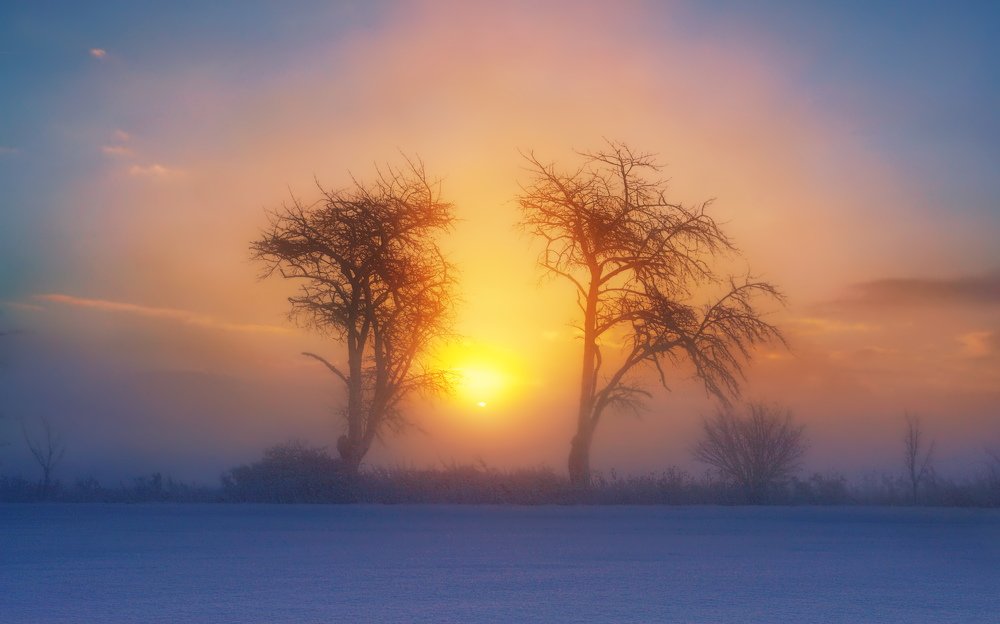 Photograph by Elena Wymann