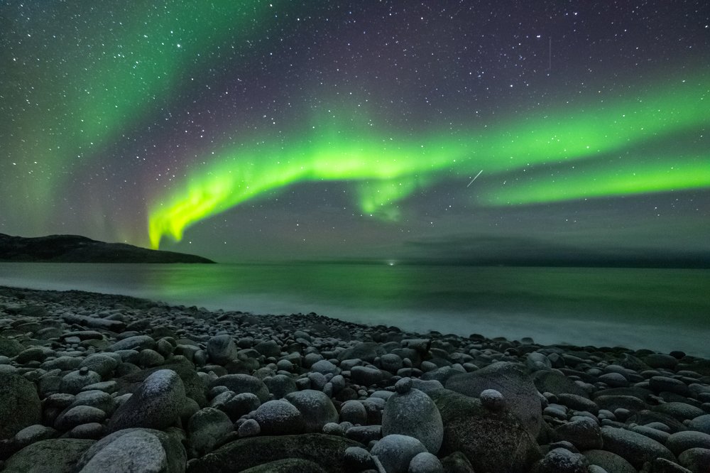 Photograph by Anna Frizen