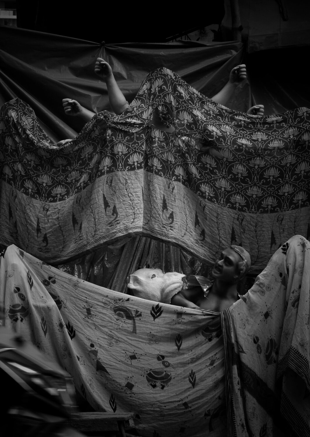 Photo #5421099