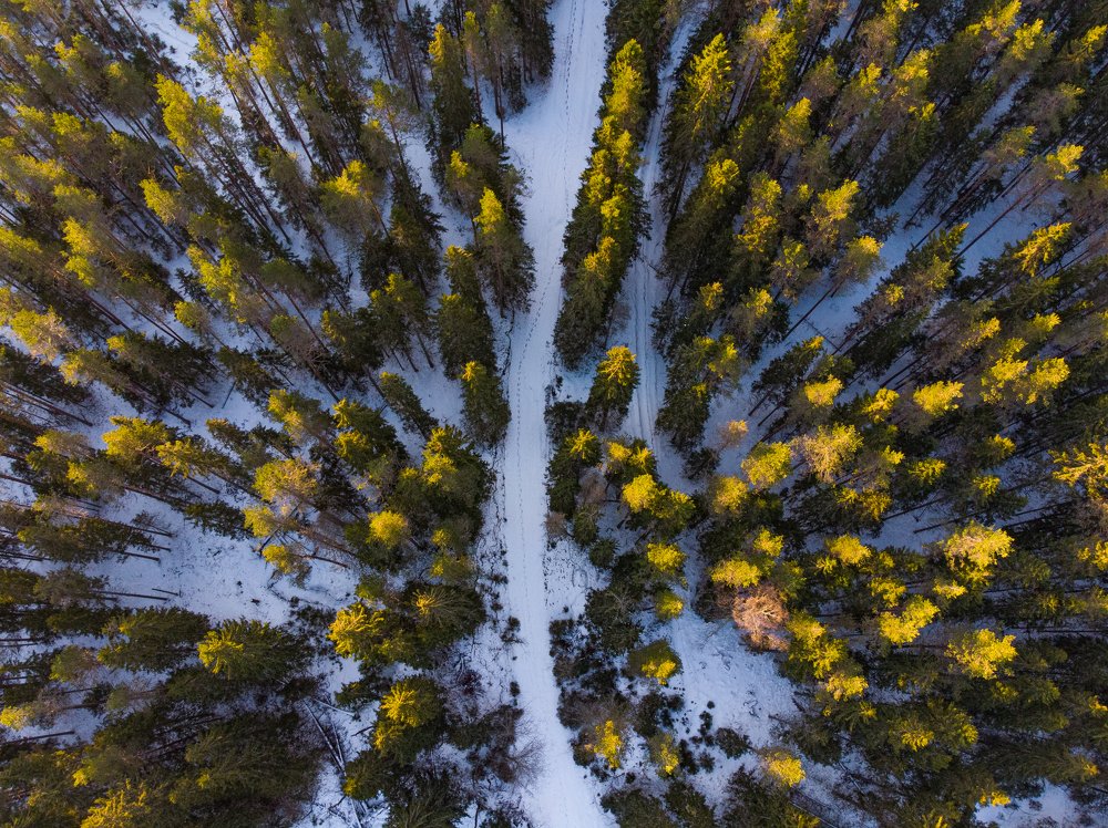 Photograph by Алексей Ширманов