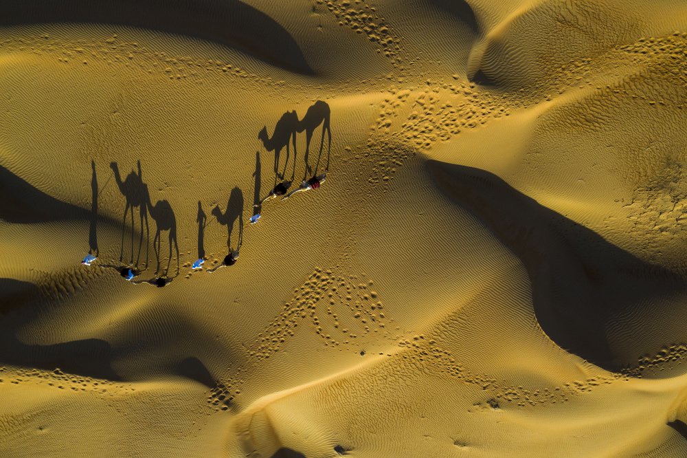 Photograph by Najla Angawi