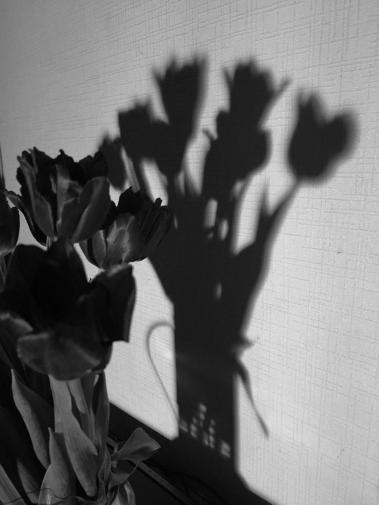 Любимые цветы