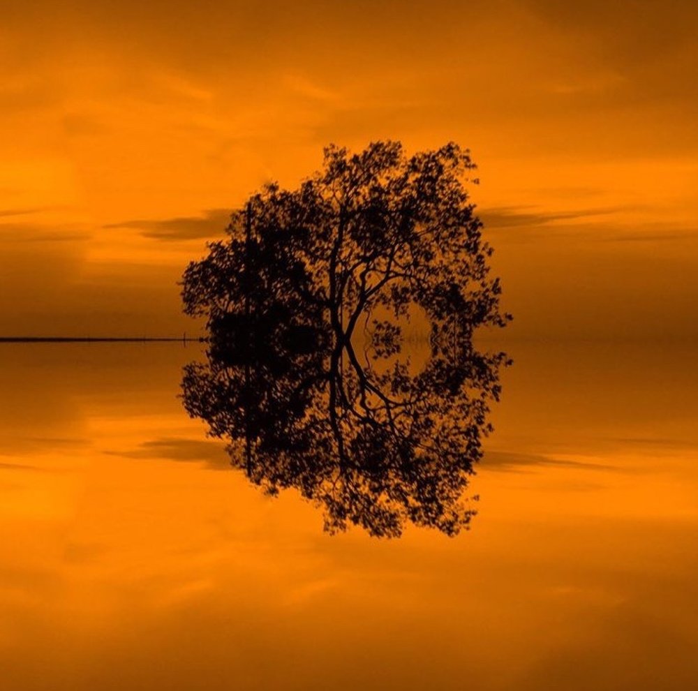 Photograph by Awab Fedail