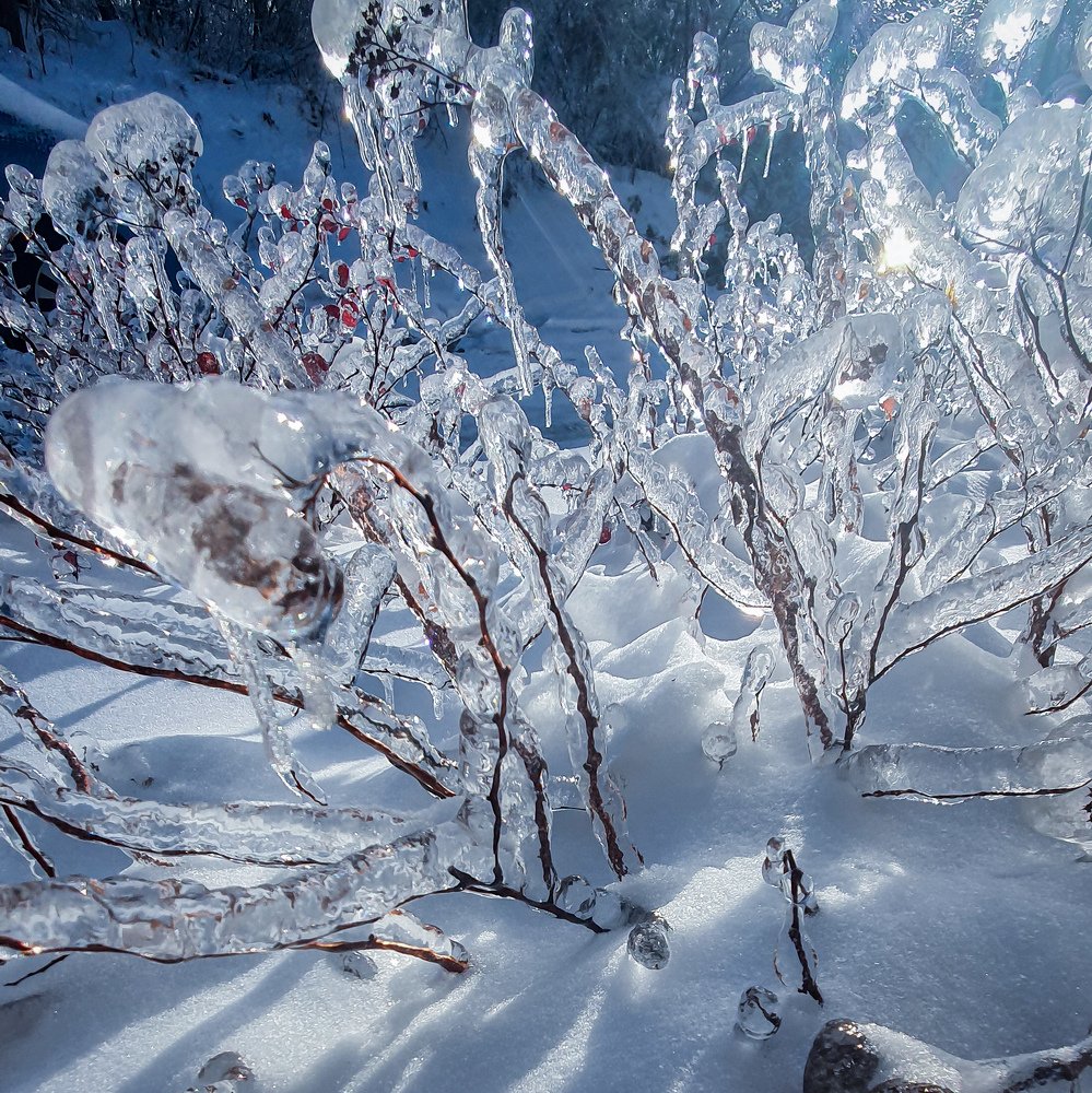 Photograph by Виктория Иванова