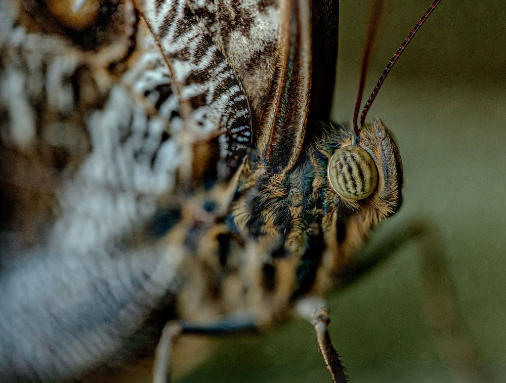 Фотография автора andrey gagarin