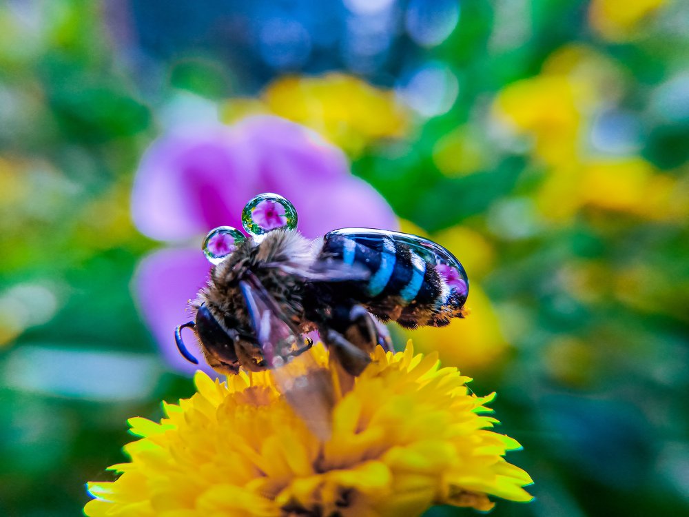 Photograph by Souvik Bhattacharyya