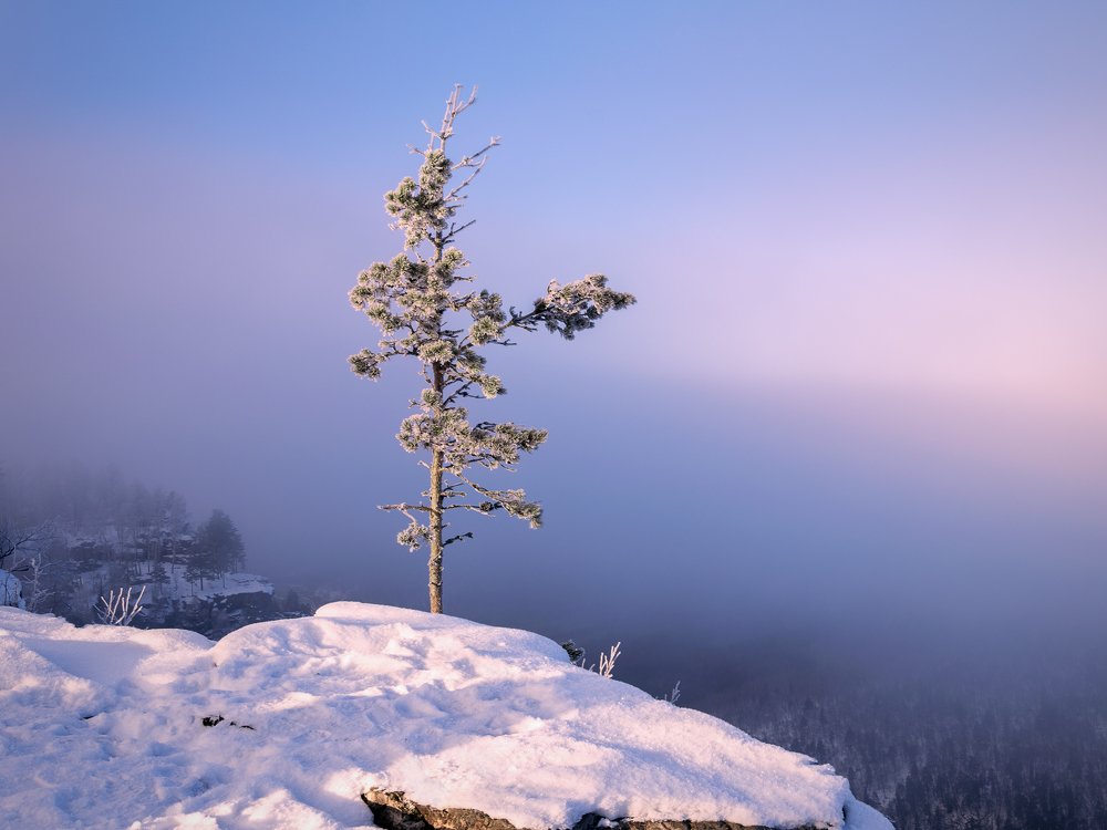 Стойкость...