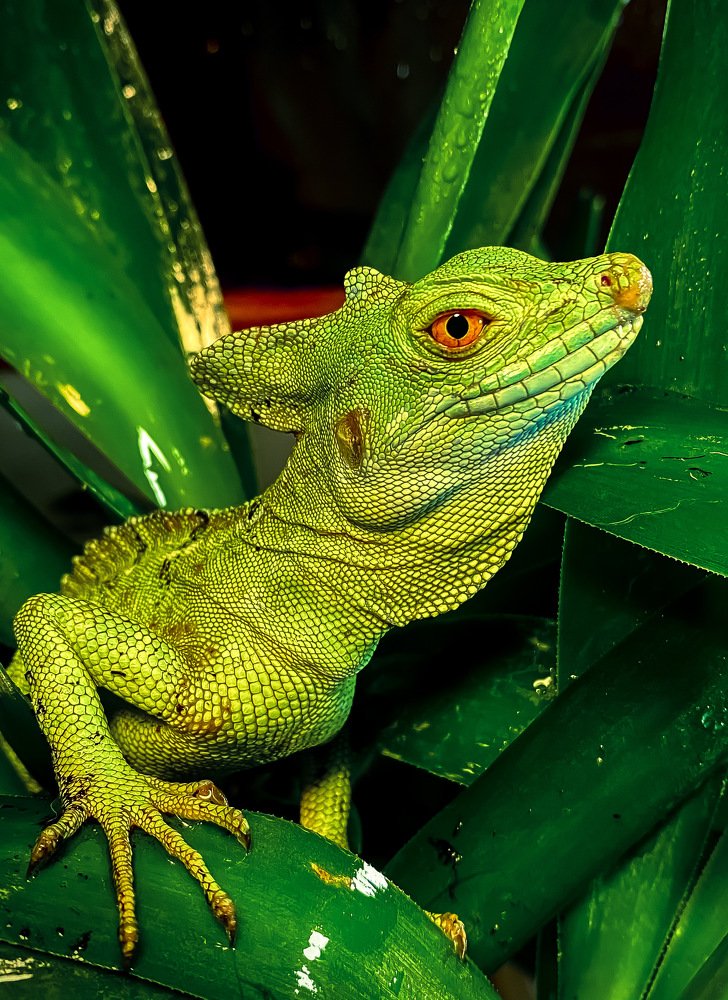 Photograph by Сергей Марченков