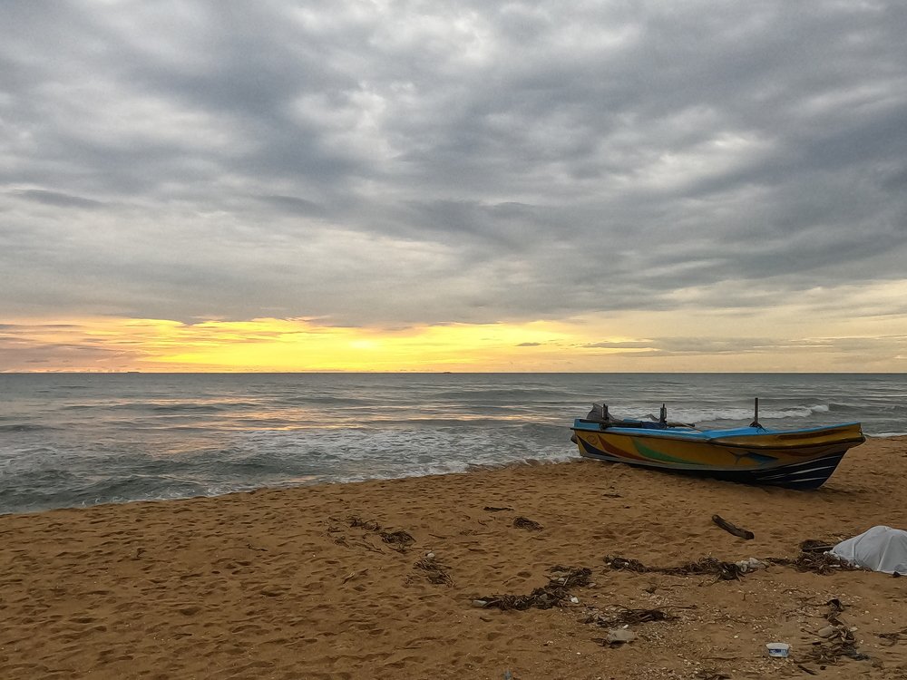 Photo #5421754