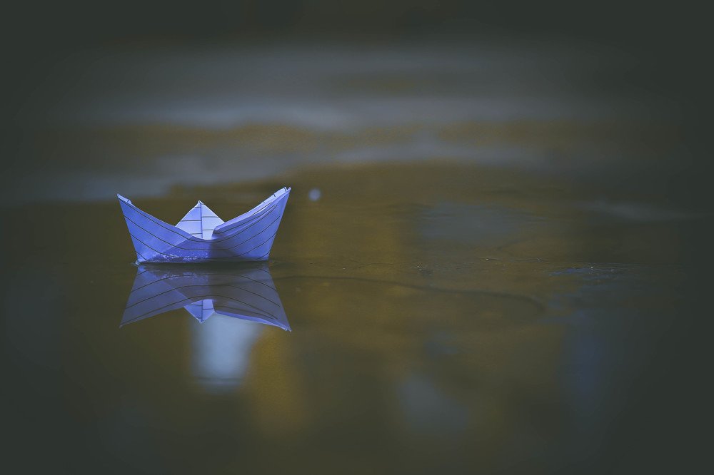 Фотография автора Vijay Richhiya