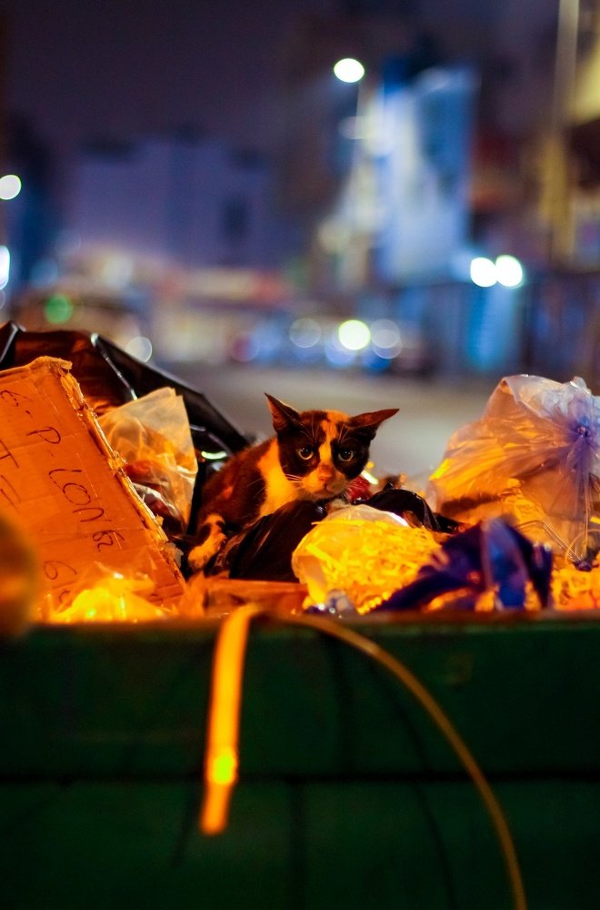 Photograph by Safdar Bin abbas