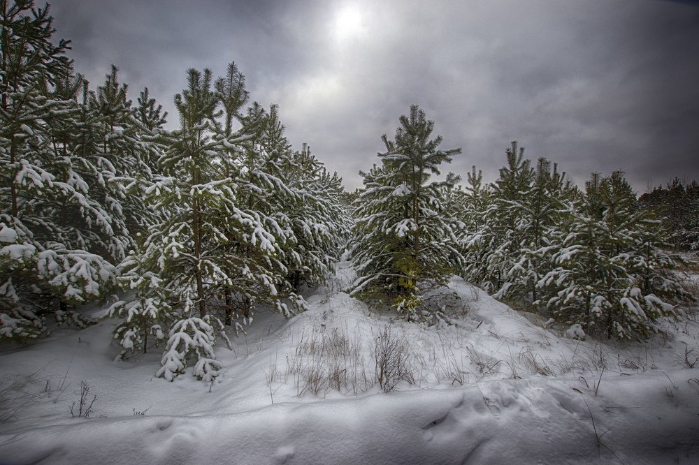 В порядке возрастания