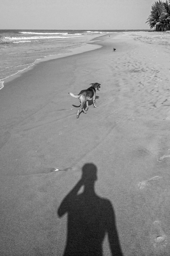 Photograph by THANUSSANTH THARMAPALAN