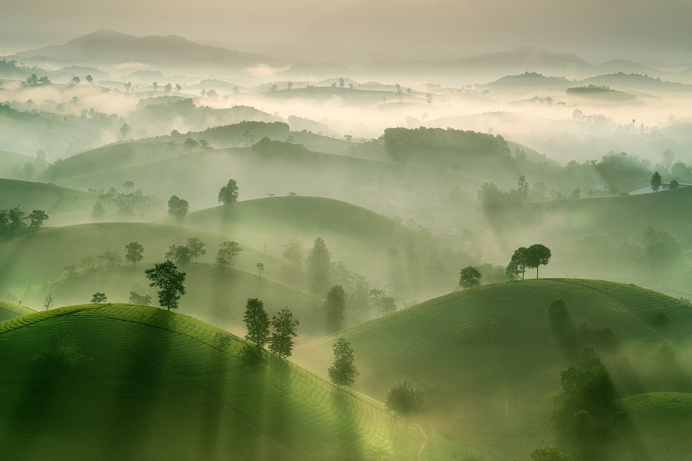 Photograph by Cao Tuan