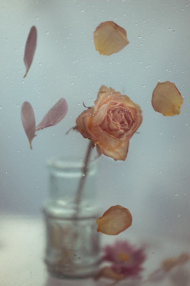 Photograph by Сергей Романченко