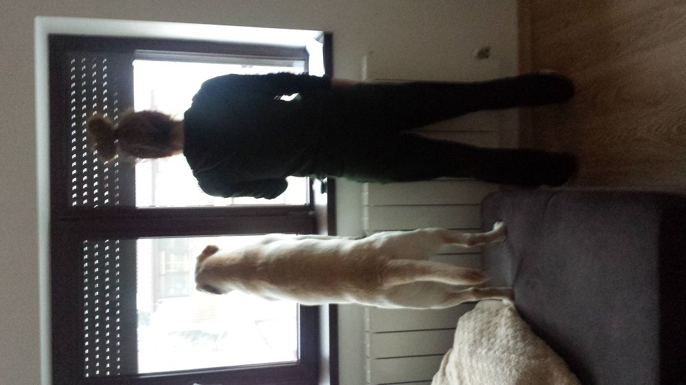 Photo #5421878