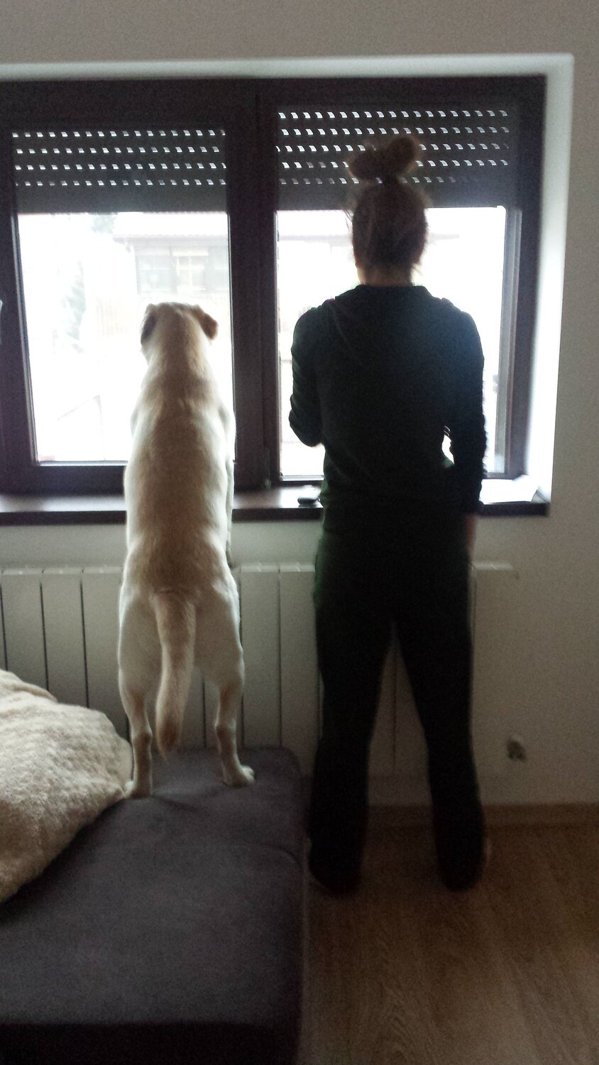 Photo #5421878