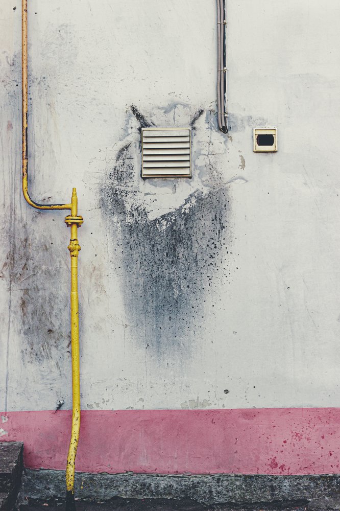 Photograph by Дмитрий Тимофеев