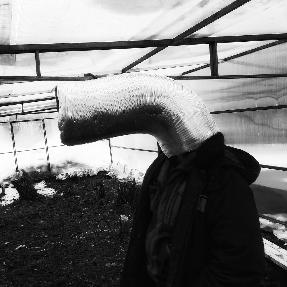 Photograph by Денис Литвинов