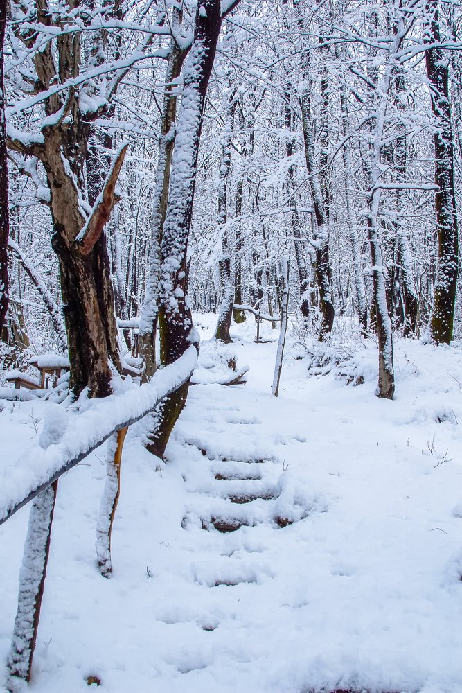 Photograph by Роман Приходько
