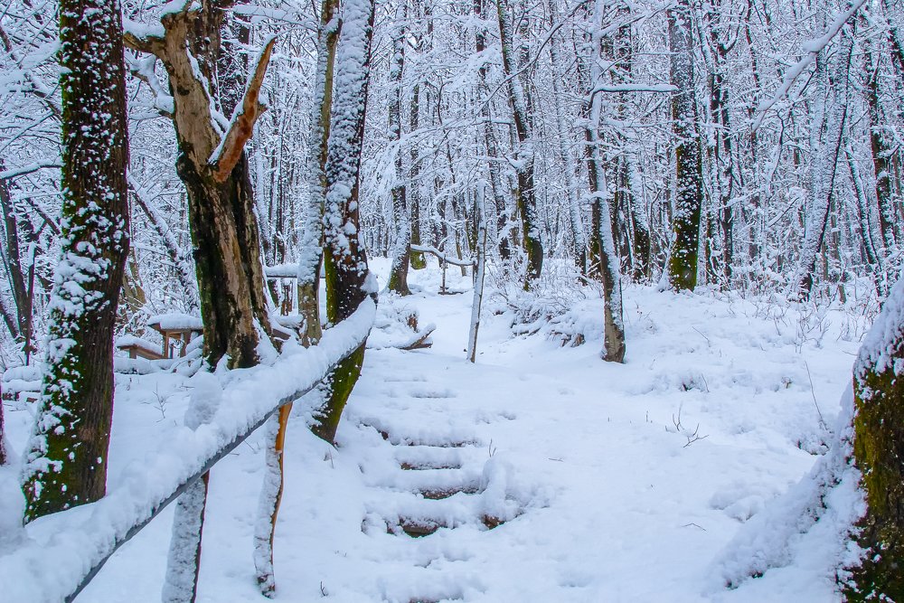 Photograph by Роман Приходько