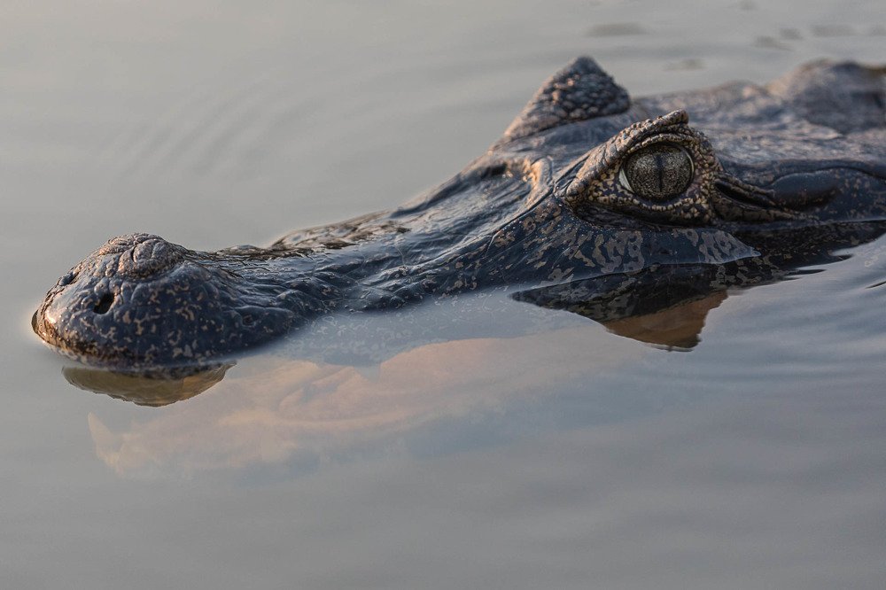 Photograph by Марина Маликова