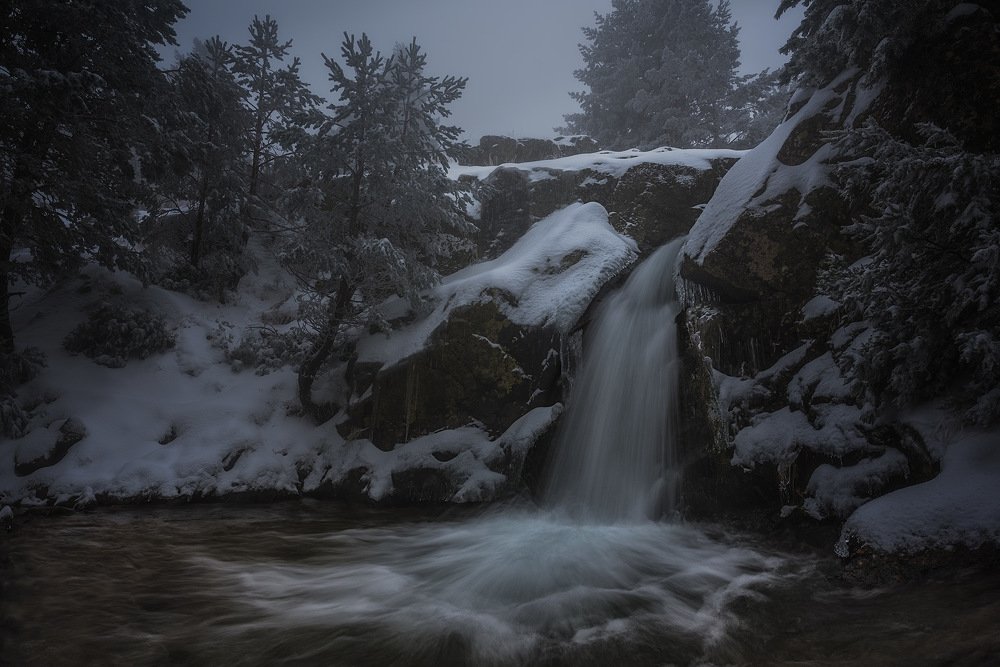 Photograph by Juan Casas