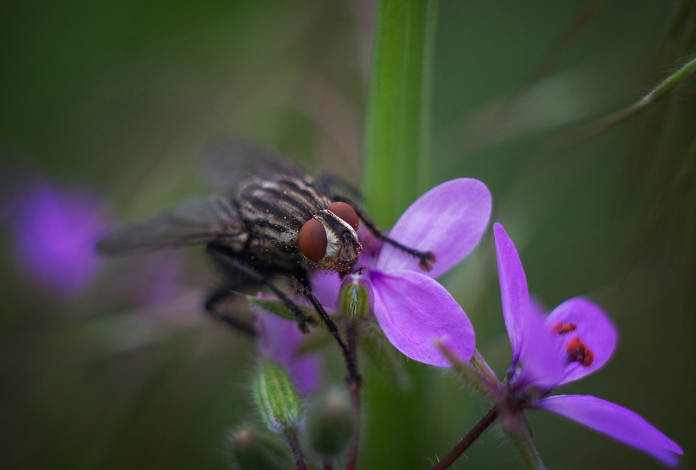 Photograph by Андрей Бурда