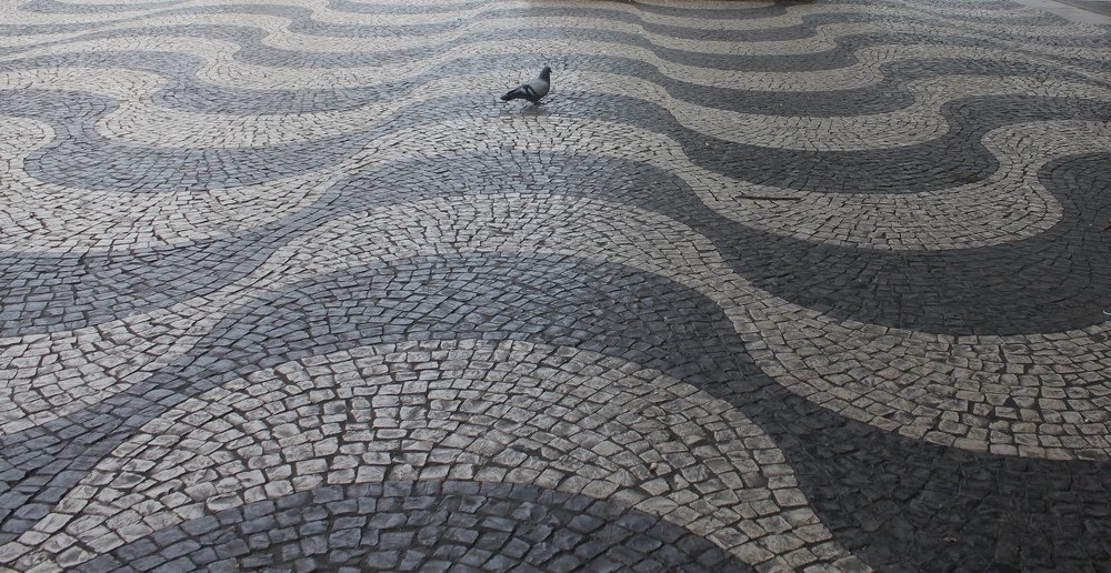 Photograph by Rupert Grech