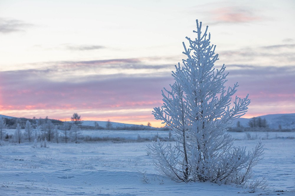 Photograph by Марина Маликова