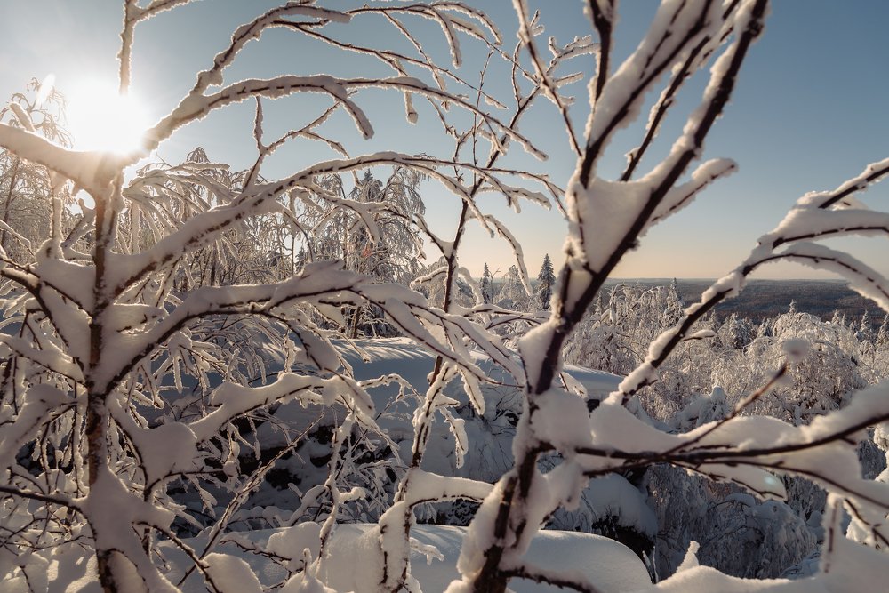 Photograph by Алексей Поляков