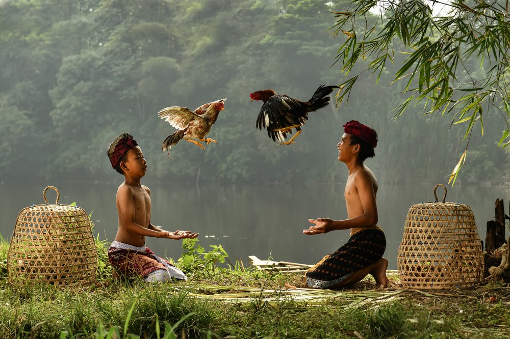 Photograph by Setiadi Ajar