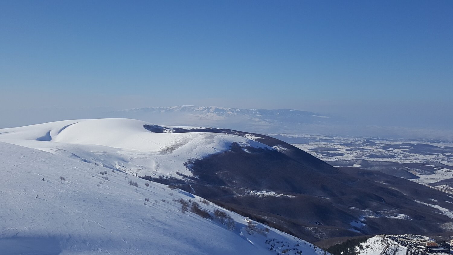 Photo #5422262
